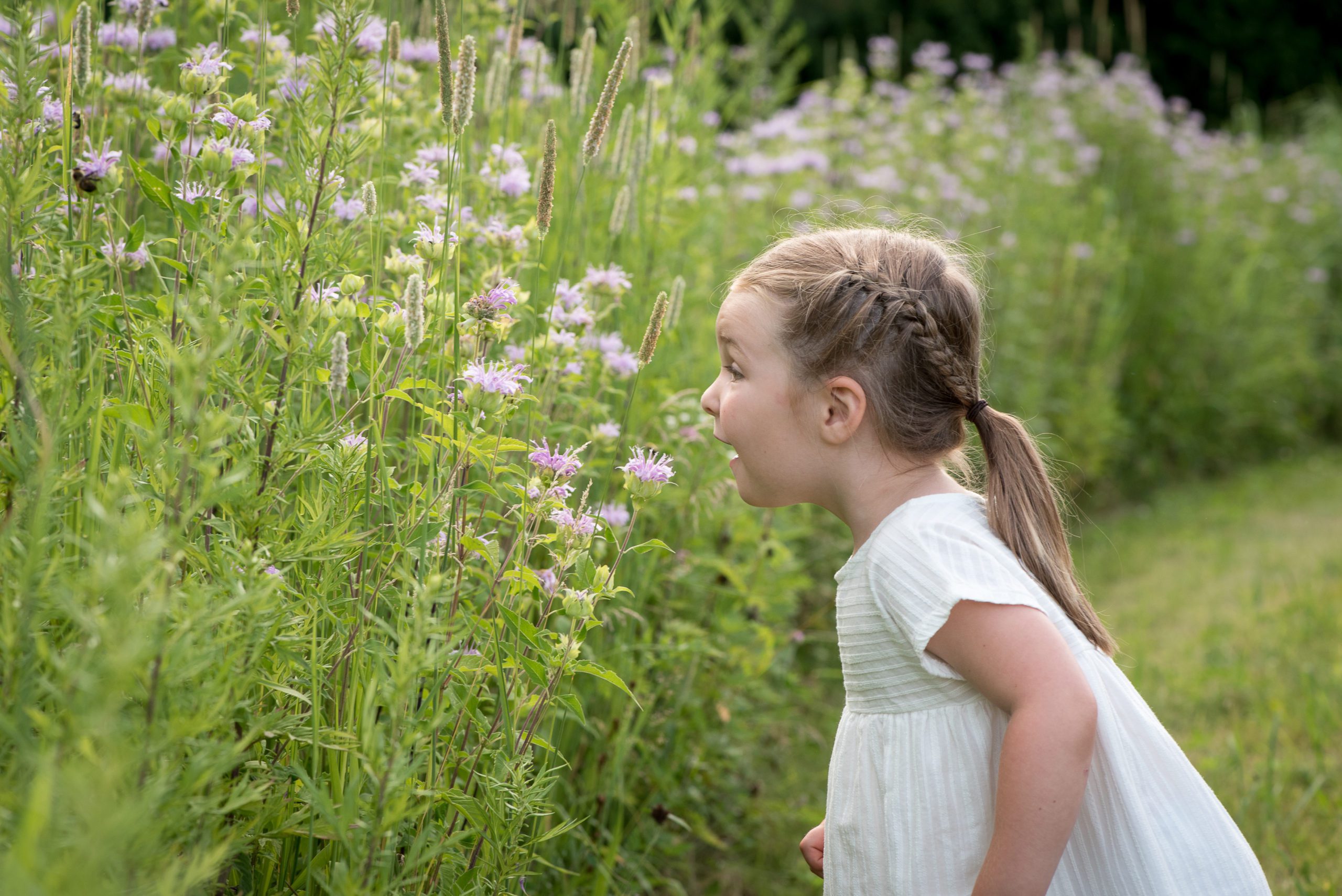 Girl sniffing flowers, spring family photography