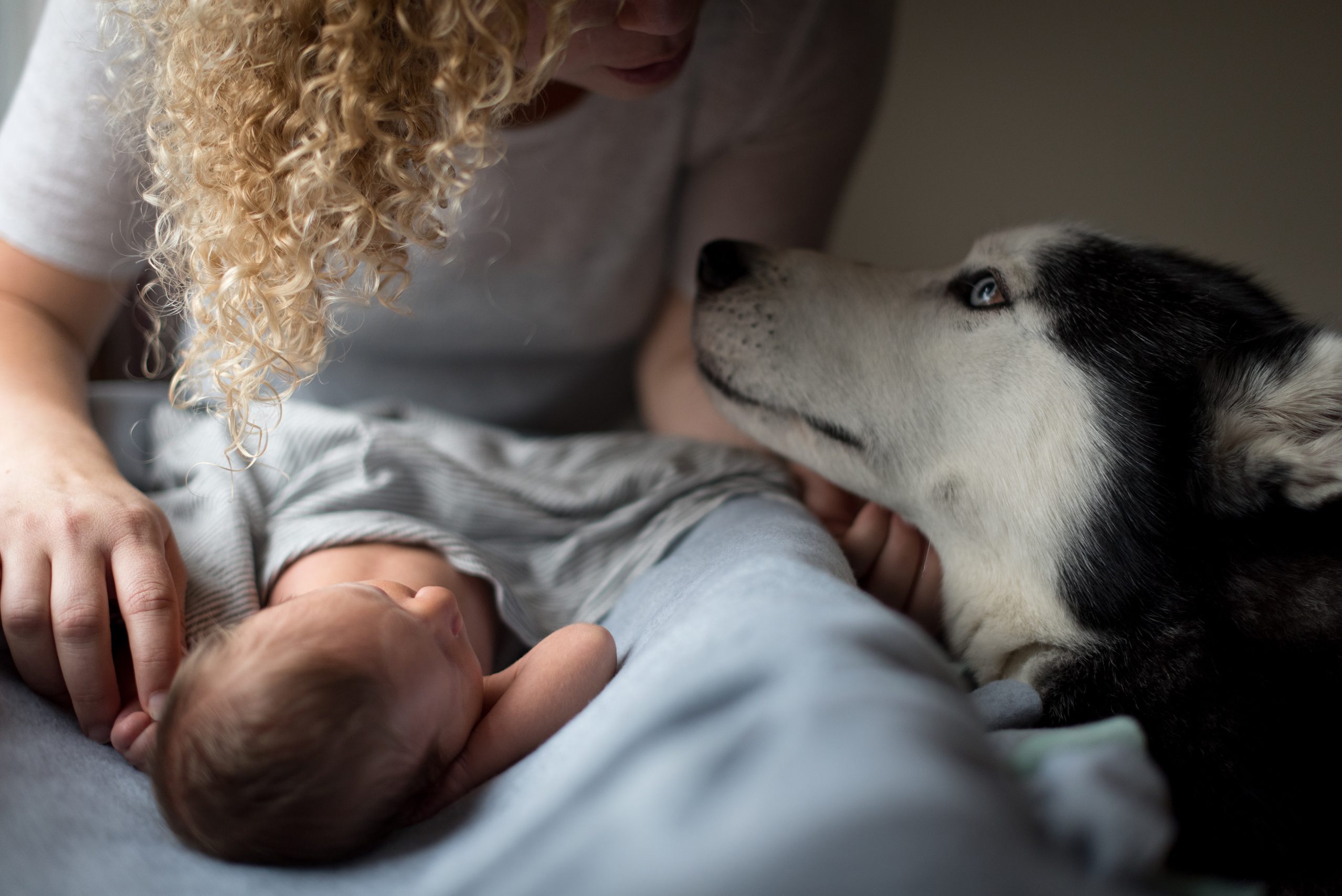 Newborn photo session, mom and baby and dog