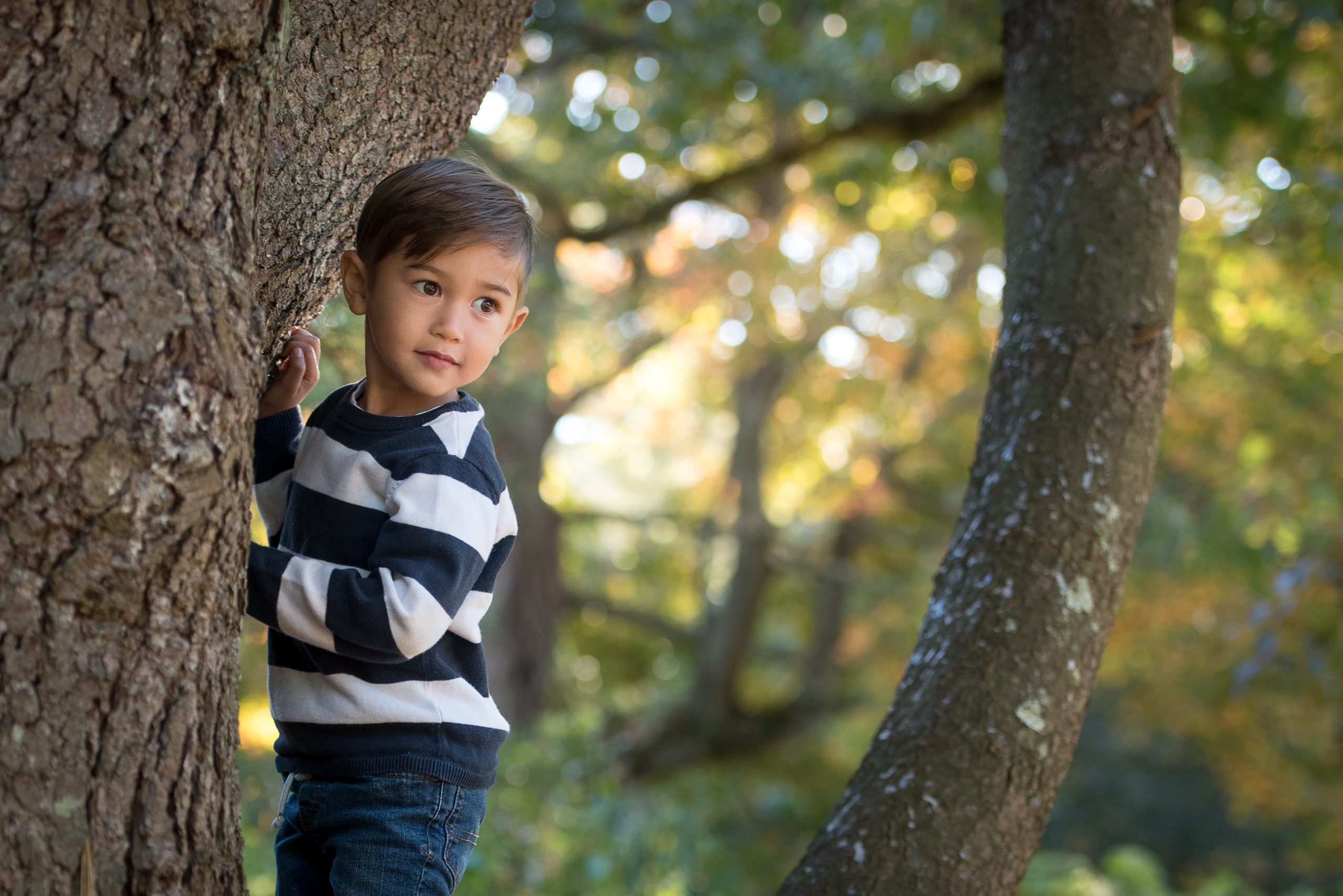 Connecticut family photo sessions, Portrait of a little boy