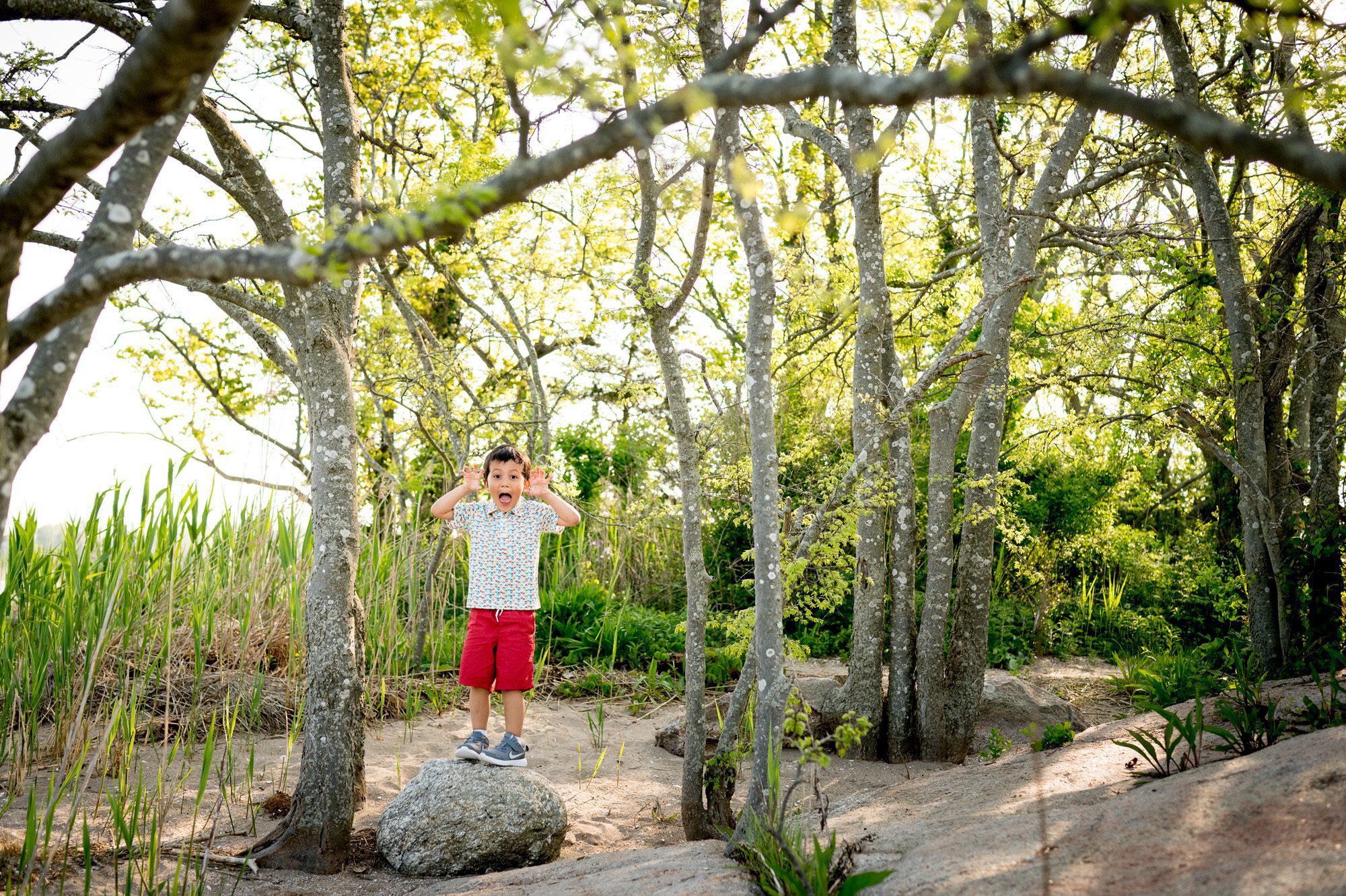 Boy playing in tree stand