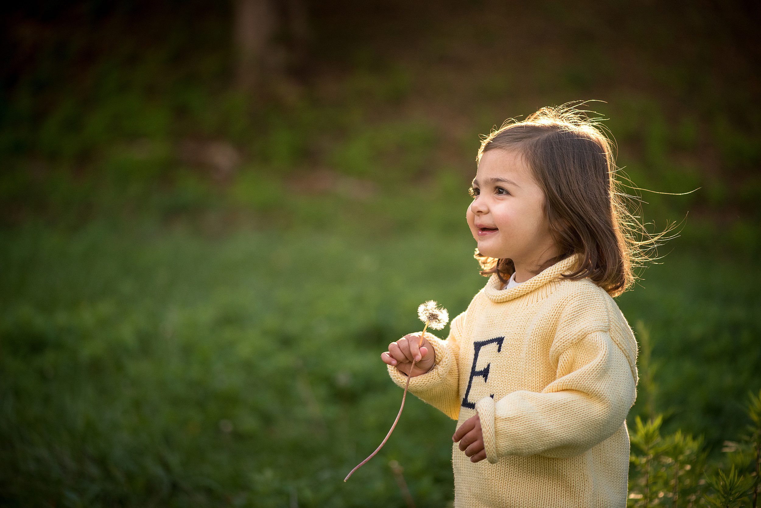 A young toddler girl in a yellow sweater picks a dandelion in one of the best playgrounds in CT at sunset
