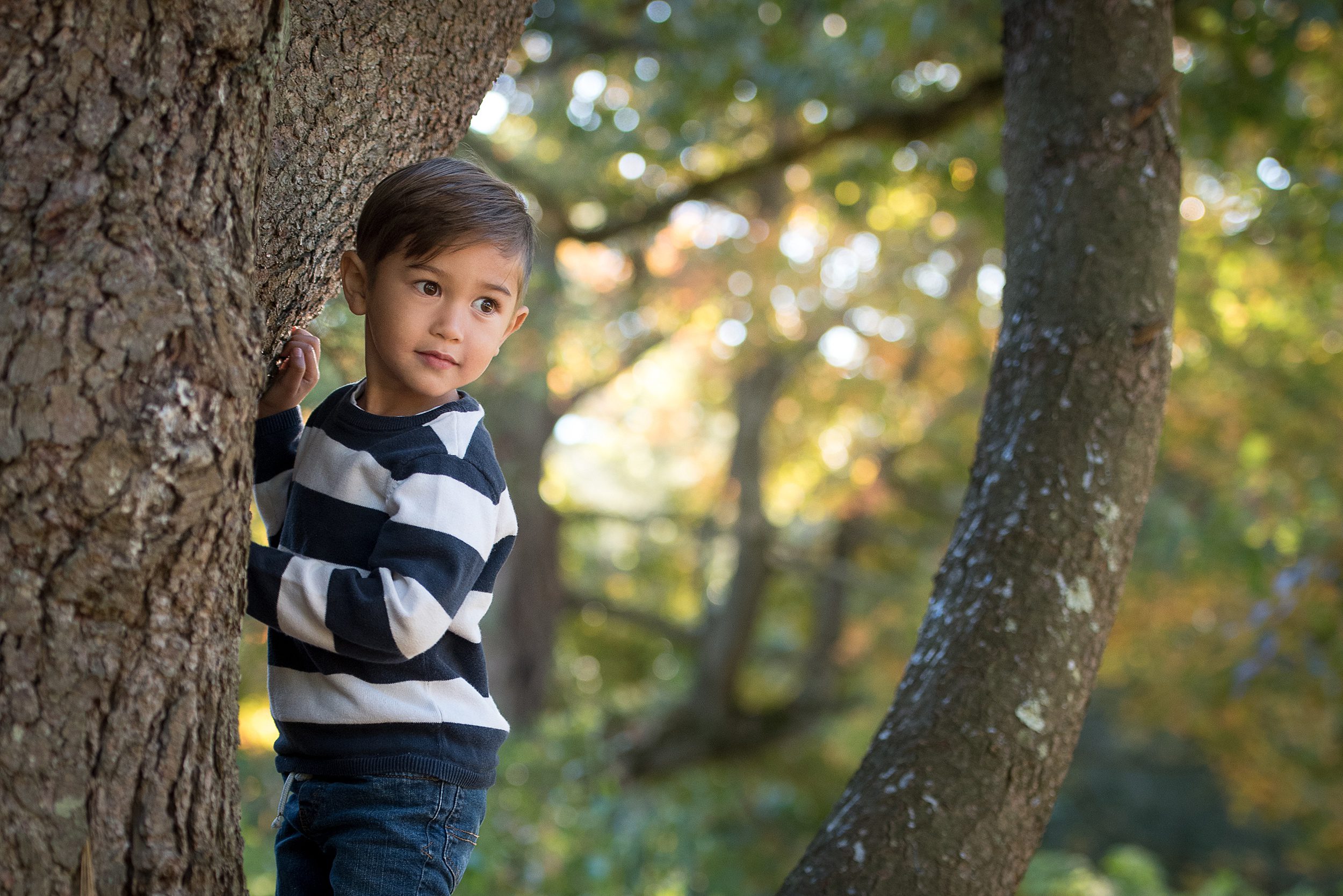 A young boy climbs in a tree while looking over his shoulder in a blue and white striped sweater at a daycare in Madison CT