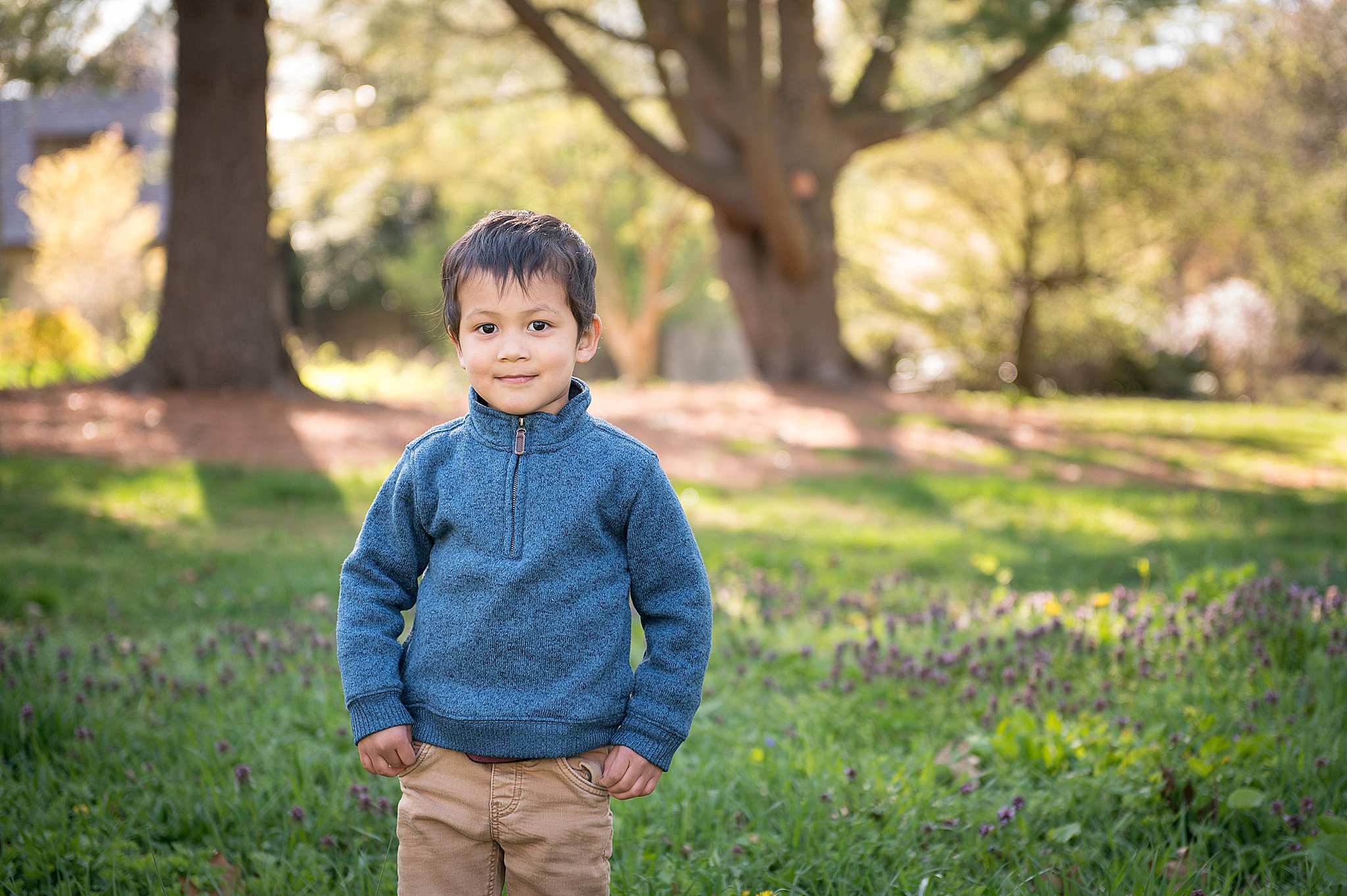 A young boy in a blue sweater stands in a park garden with hands in pockets