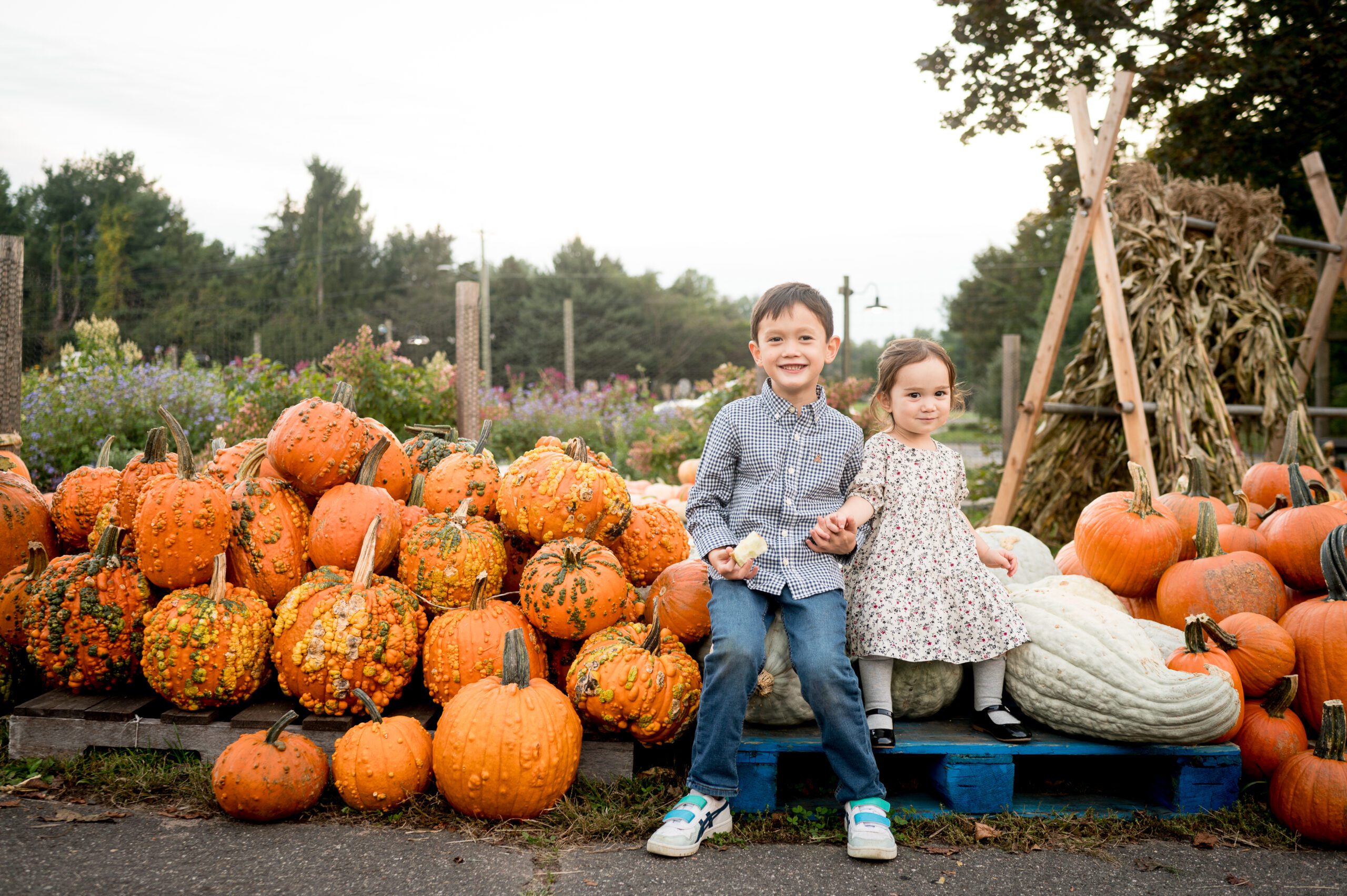 Two children sitting with a large assortment of pumpkins