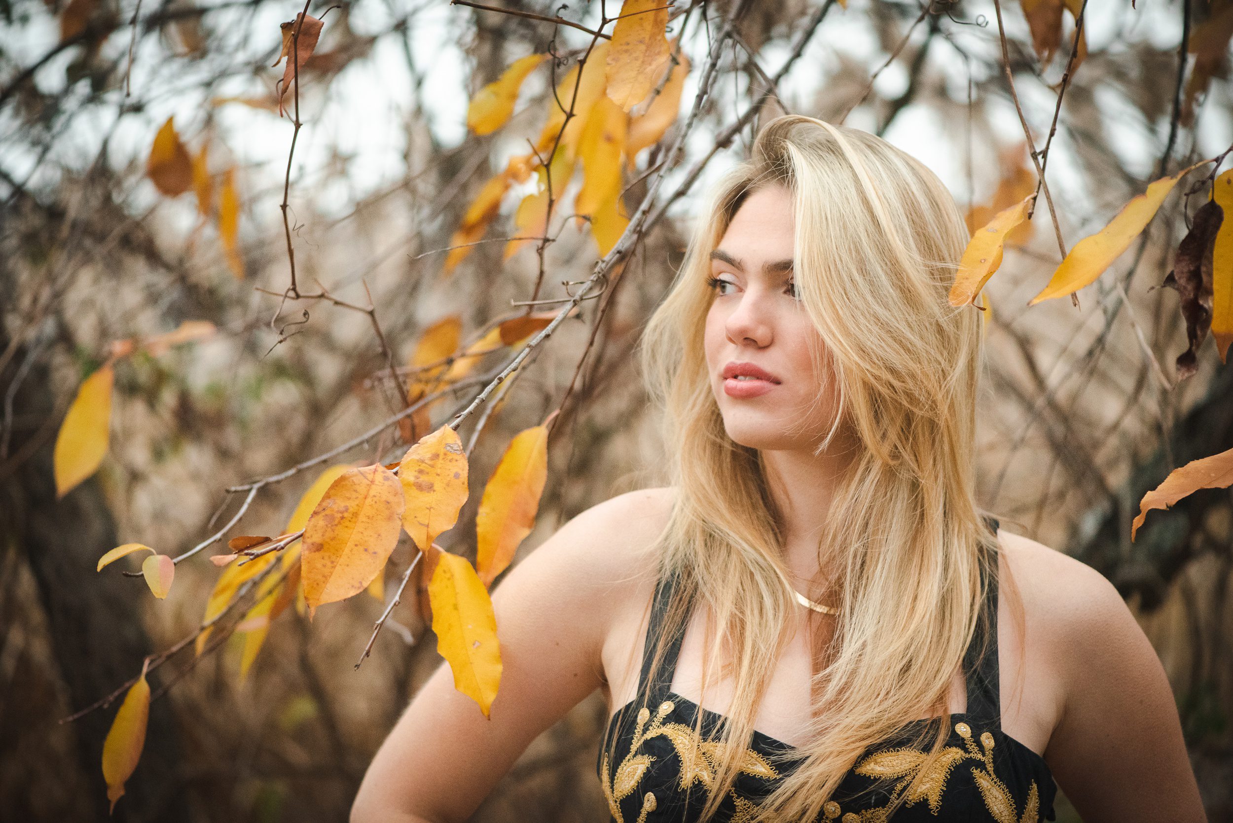 A high school senior in a black and gold dress stands in some low branches looking over her shoulder after visiting boutiques in guilford ct