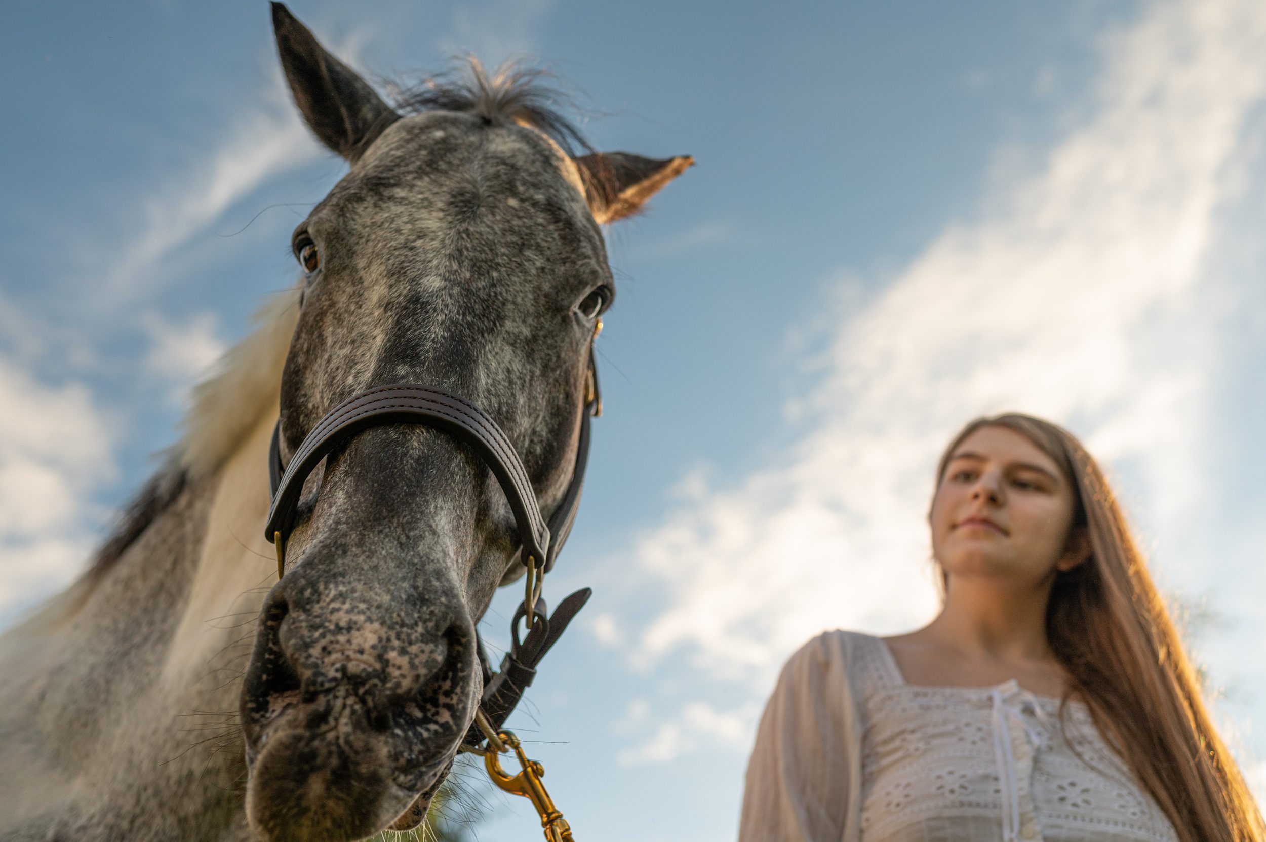 A woman in a white dress walks with a grey horse on a clear day