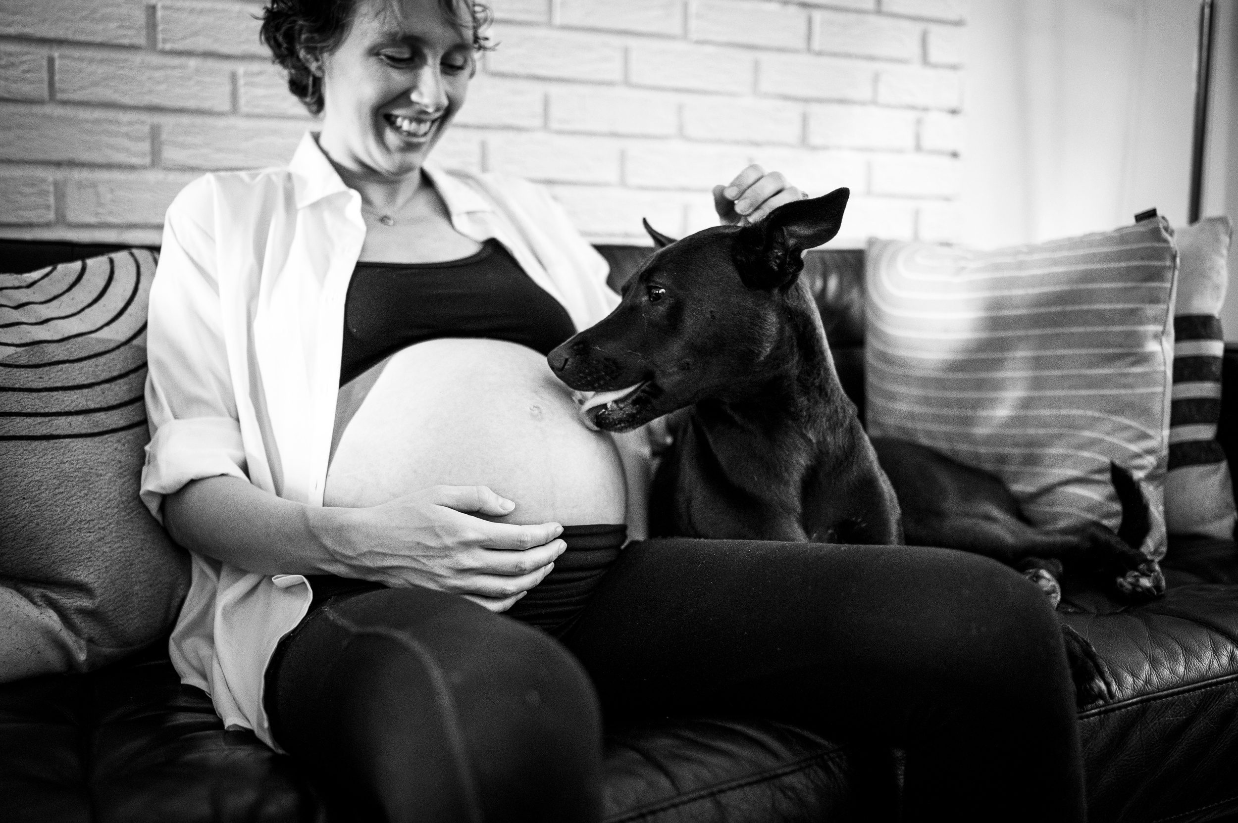 a black dog licks mom's pregnant bump on a couch after exploring baby shower venues in ct