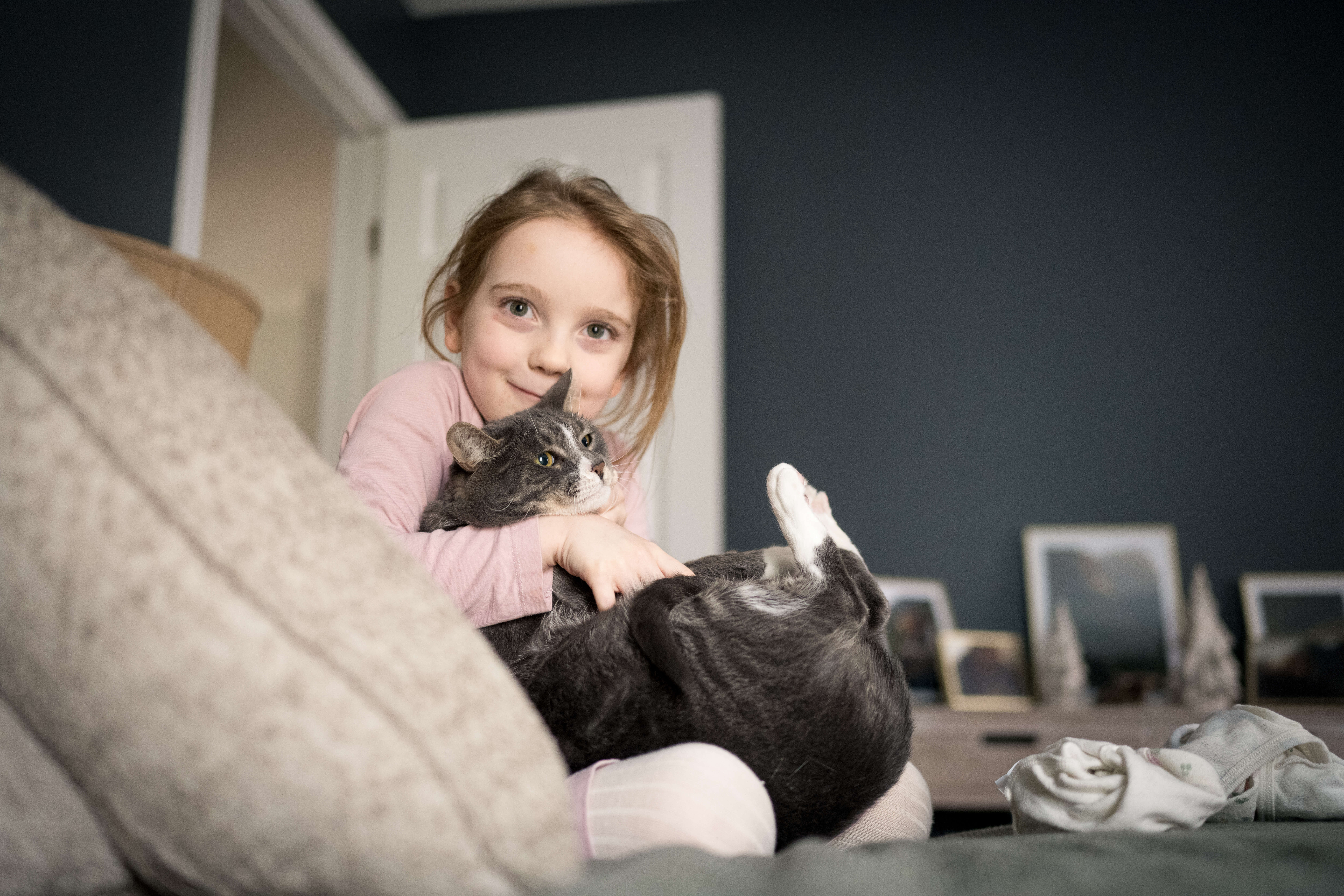 A young girl hugs a cat while playing on a bed in a pink shirt after visiting Nook and Cranny in CT